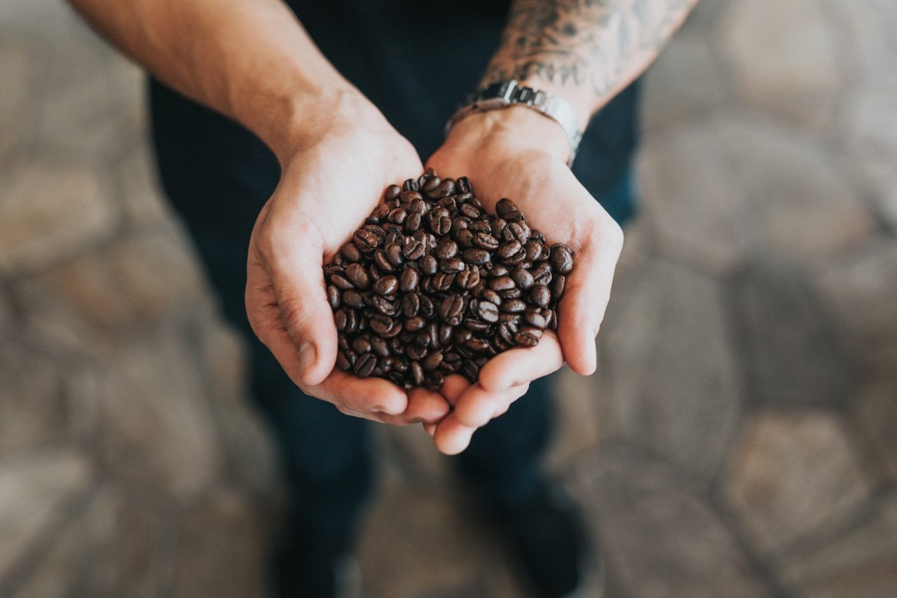 Kopi Berkualitas